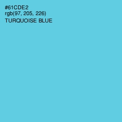 #61CDE2 - Turquoise Blue Color Image